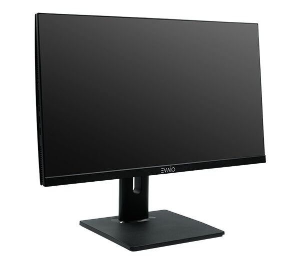 EVAIO HD 238 ALL IN ONE PC